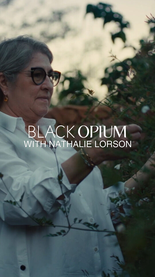 A woman with gray hair and glasses, wearing a white shirt, is tending to a lush green bush with small white flowers. She is standing in what appears to be a garden, with a stone wall in the background. The lighting is soft and somewhat dim, suggesting evening. Overlaid on the image in white text are the words "BLACK OPIUM" and "WITH NATHALIE LORSON".