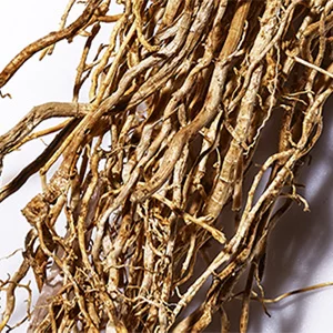 Alt text: A close-up view of tangled dried plant roots, showcasing their intricate, intertwined structure and natural brown color.