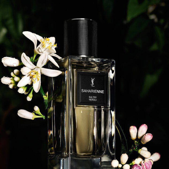 A clear perfume bottle labeled "SAHARIENNE SULTRY NEROLI" by YSL, set against a dark background with delicate white neroli flowers.
