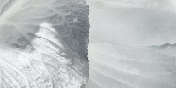 Close-up of a textured surface with soft, wavy patterns in shades of white, creating an ethereal and delicate appearance.
