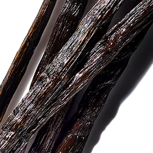 Close-up of several dark, glossy vanilla beans arranged against a white background, showcasing their textured surface.