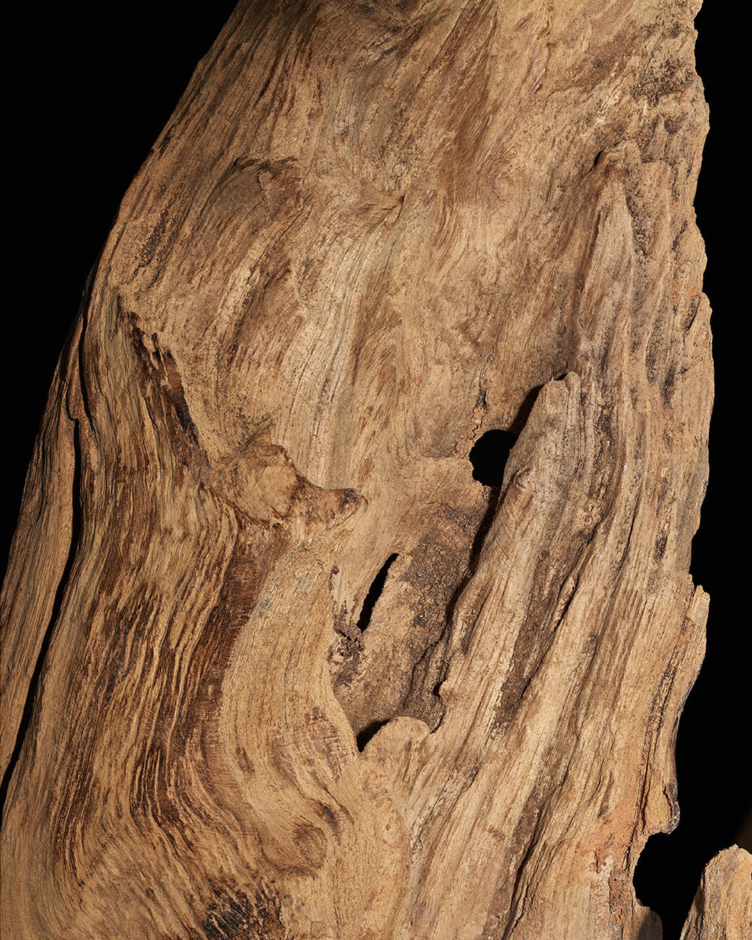 Close-up of a piece of weathered wood, showcasing its intricate grain patterns and natural texture against a dark background.