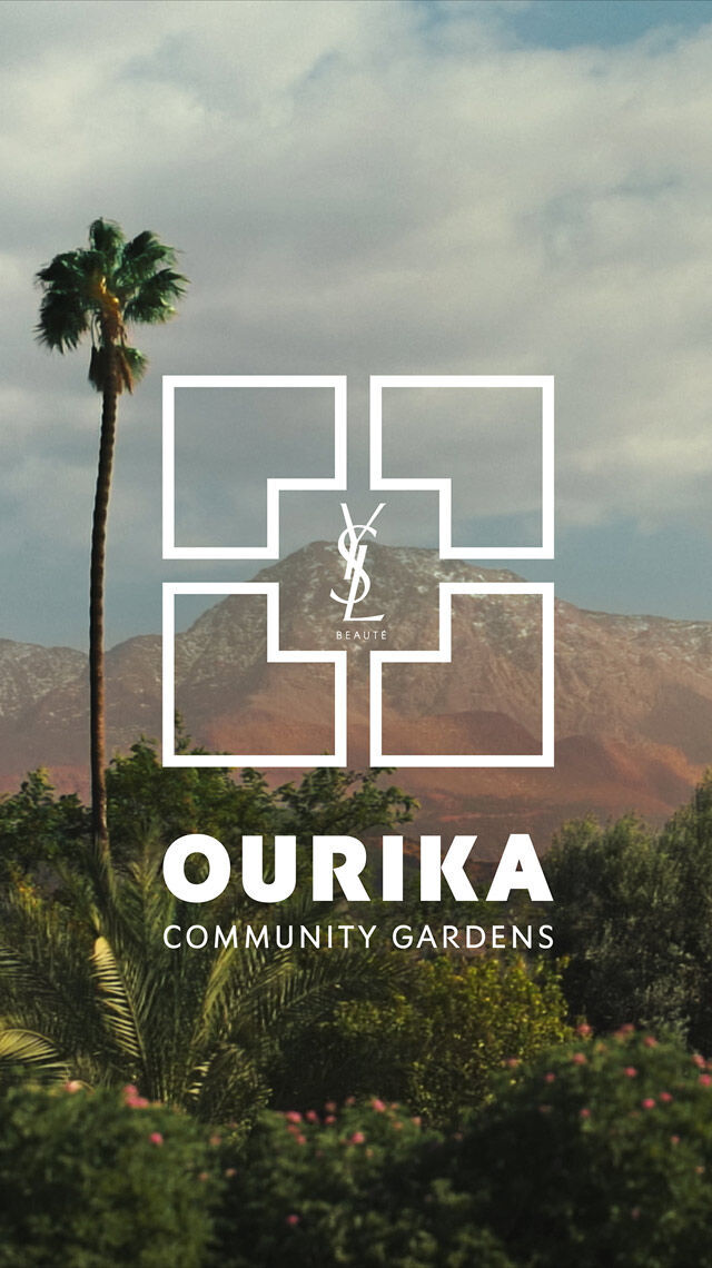 A landscape with palm trees, green foliage, and mountains under a cloudy sky. A white YSL Beaute logo and the text "OURIKA COMMUNITY GARDENS" are overlaid.