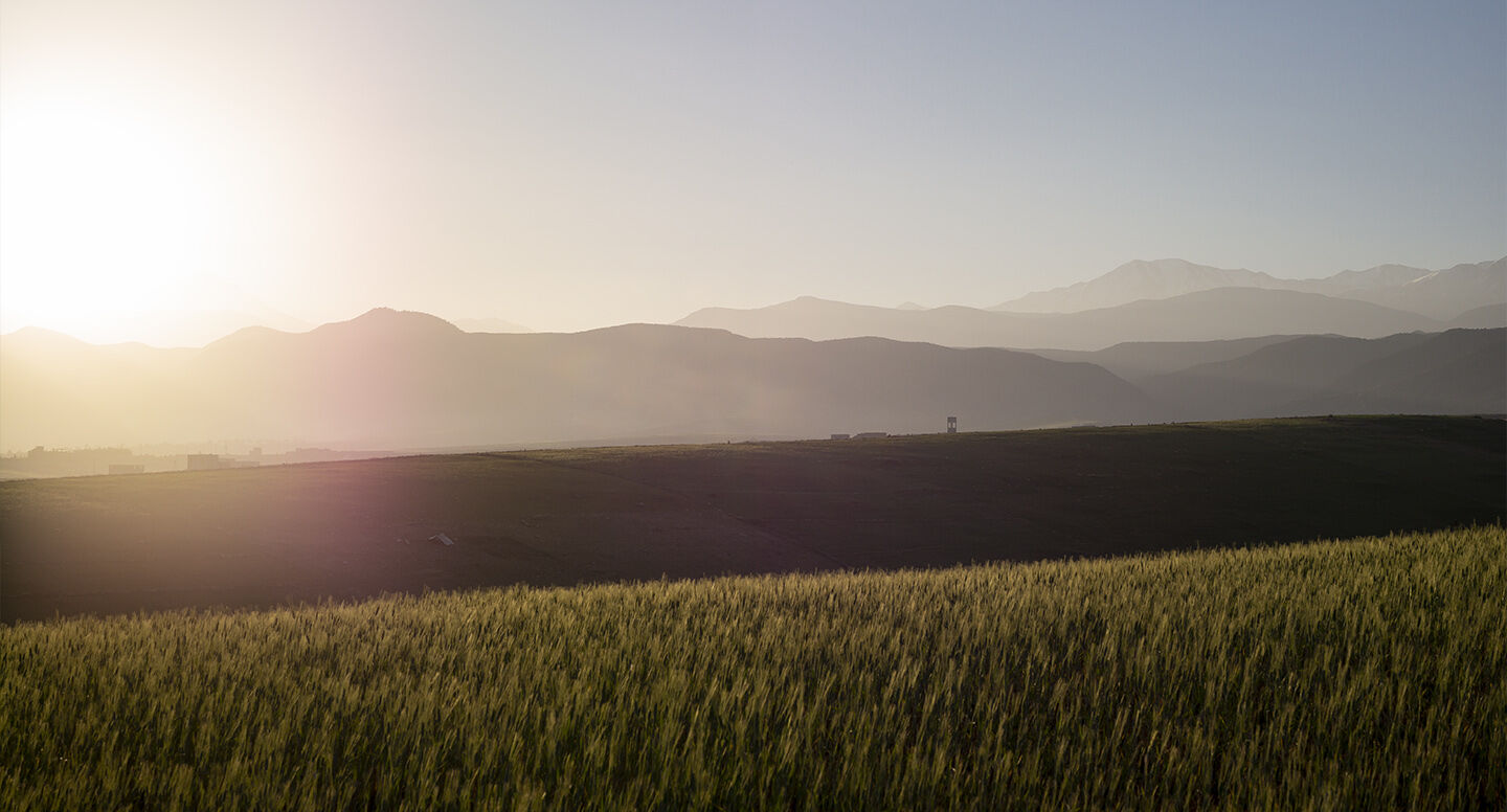 A serene landscape at sunrise, featuring rolling hills and distant mountain ranges under a soft, golden light. A field of tall grass stretches in the foreground, creating a tranquil atmosphere.