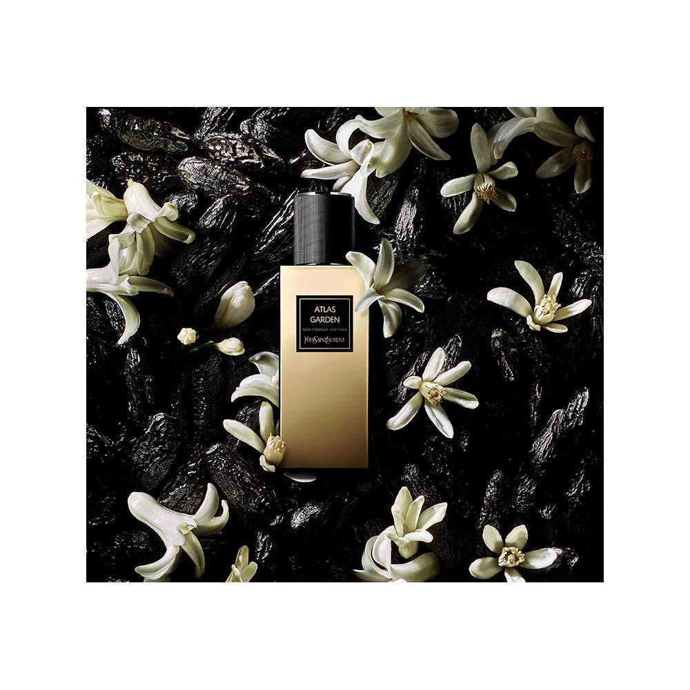 Atlas garden online ysl