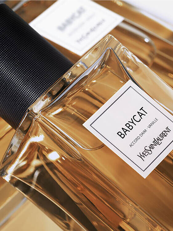 babycat ysl fragrance