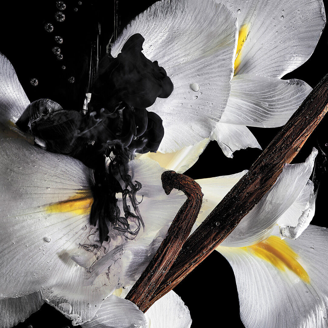 Muse Extrait de Parfum