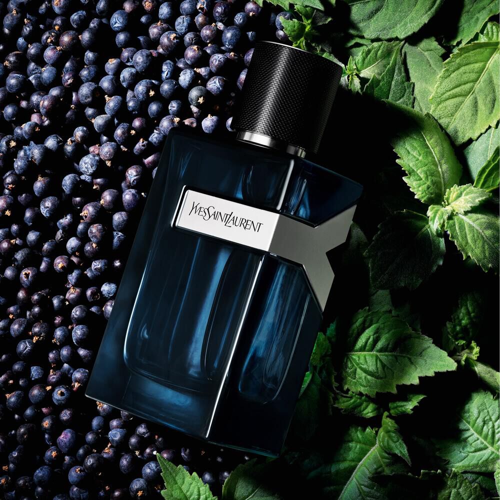 Yves saint laurent cologne y eau de parfum 2025