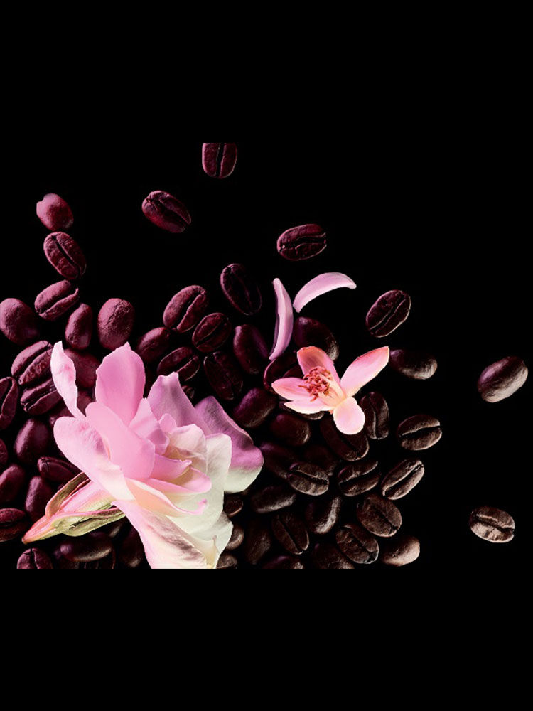 opium floral