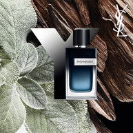 Duo Y + Refill 150ML