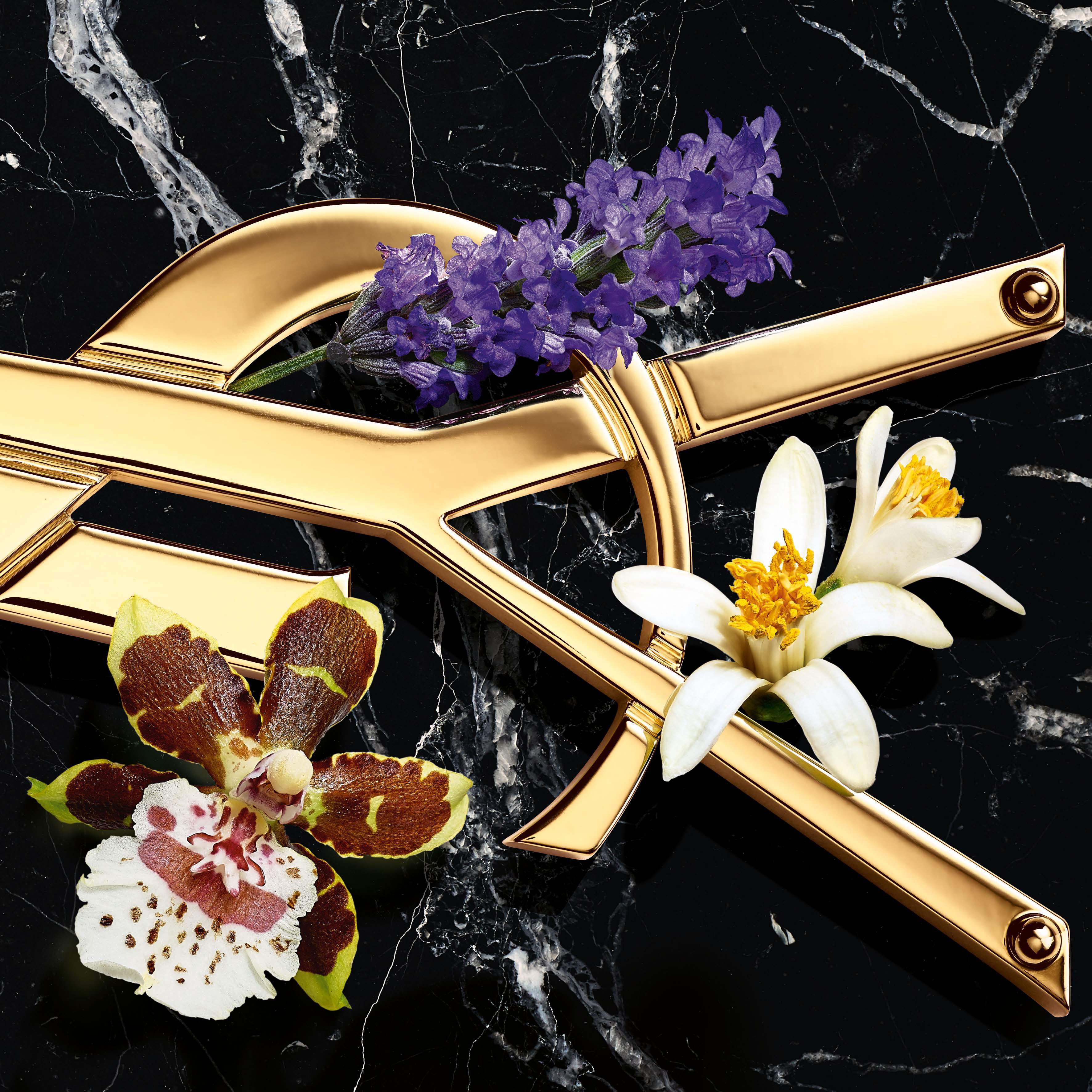 Yves saint 2025 laurent libre uk