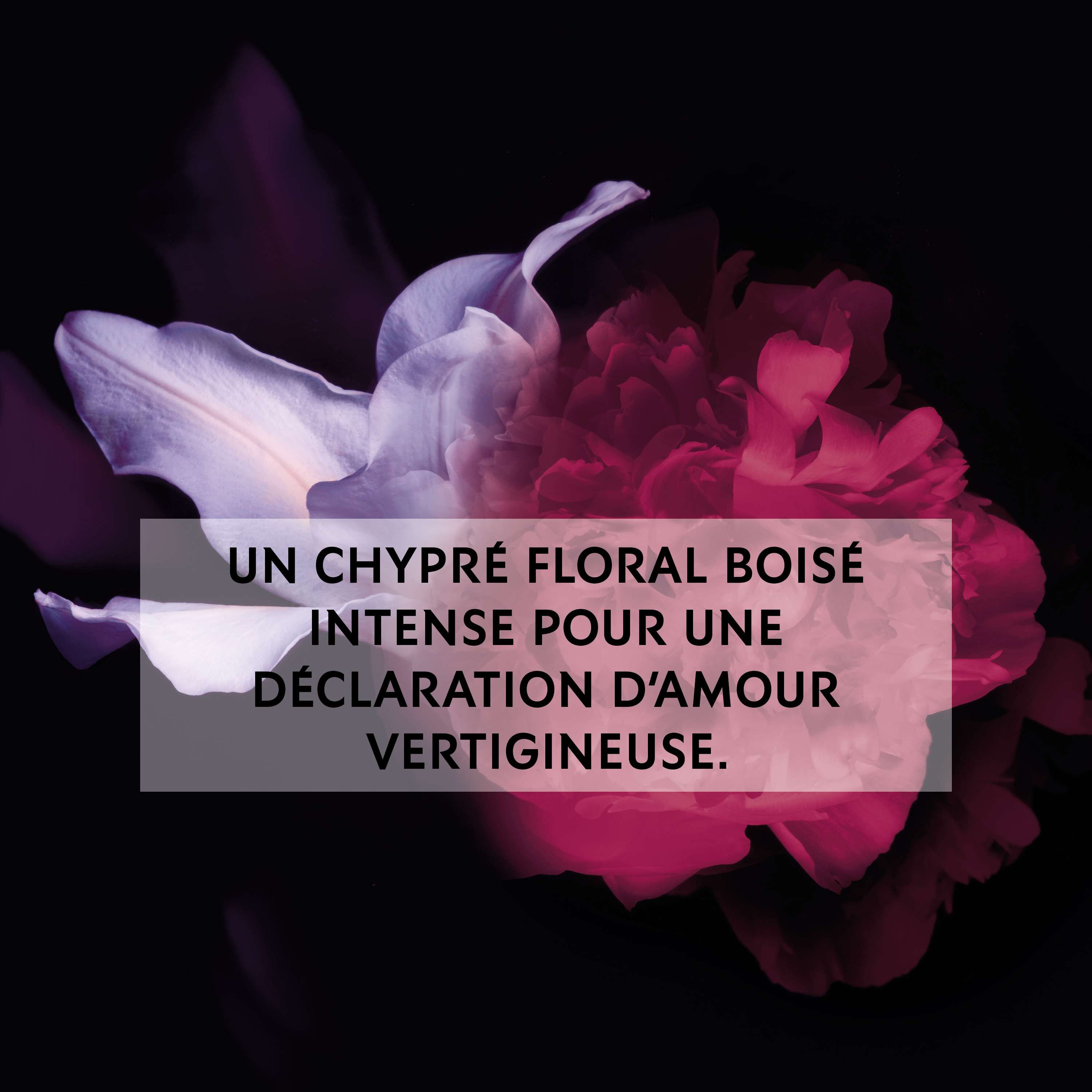 Mon Paris Intensement