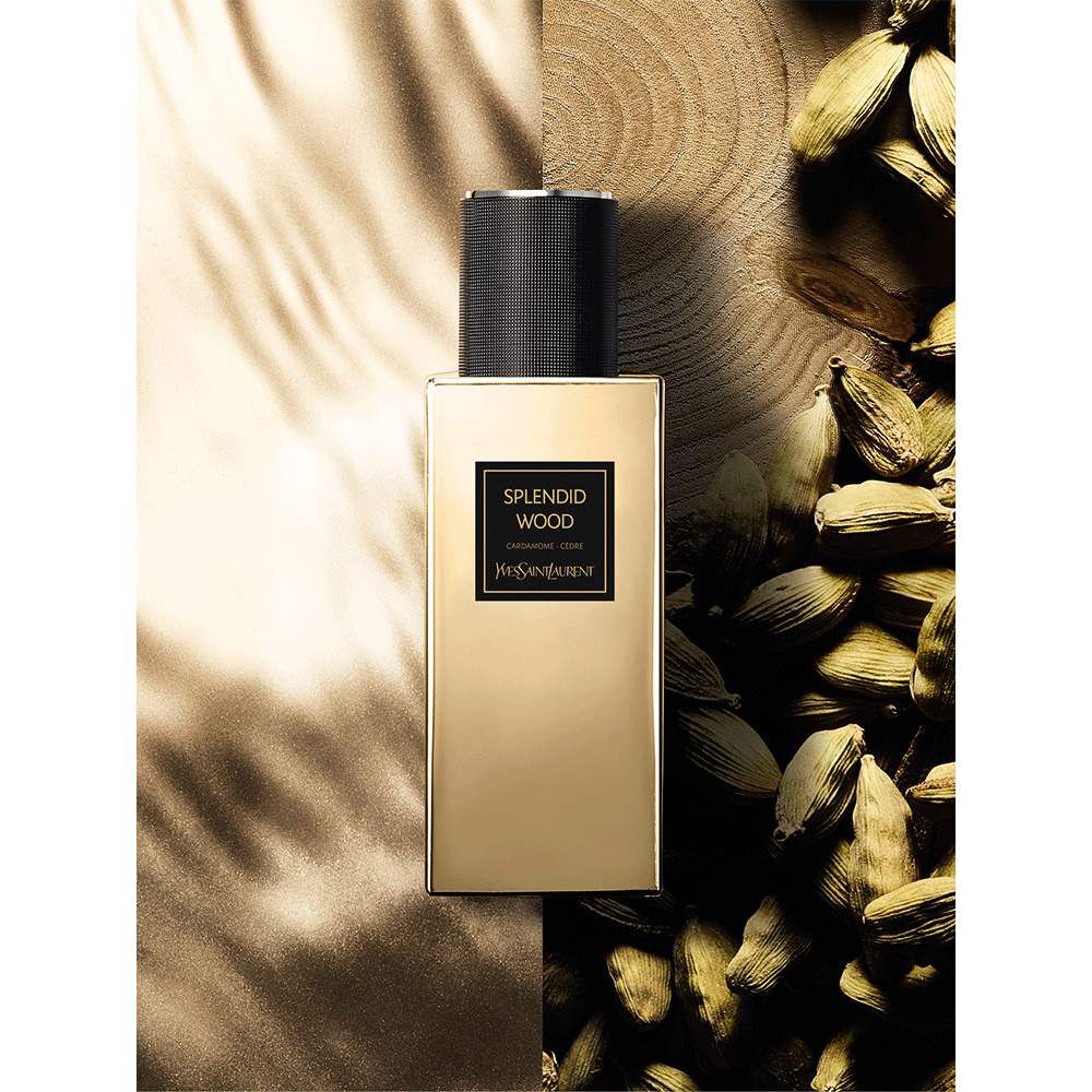 splendid wood yves saint laurent TGS A.A