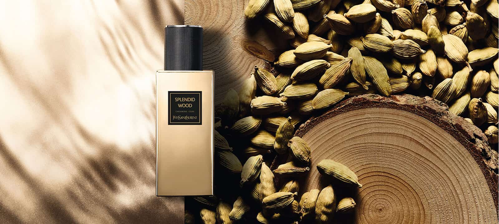 splendid oud ysl