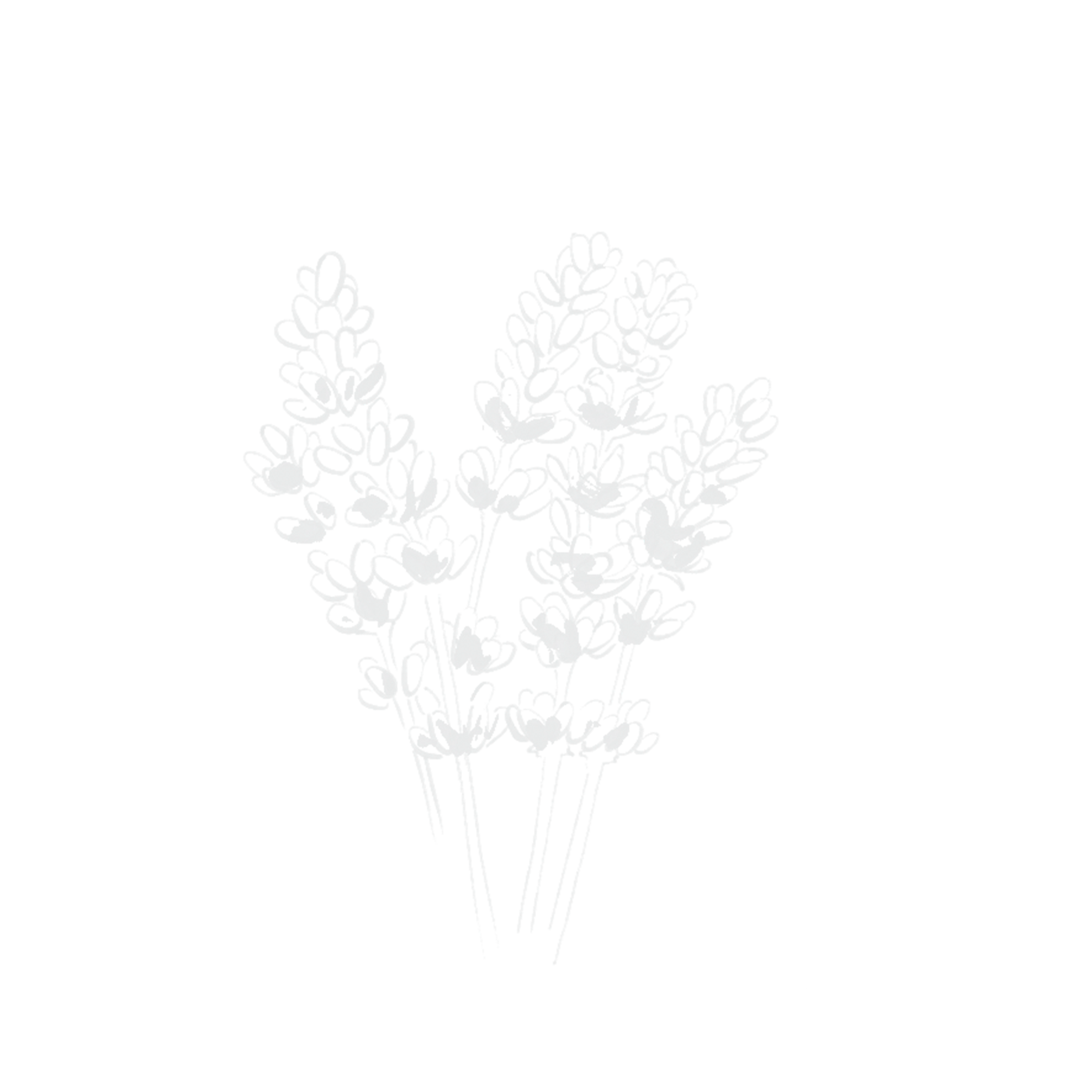 Abstract graphic representing the rich Ourika Saffron Accord, a key ingredient in YSL Le Vestiaire des Parfums Extrait.