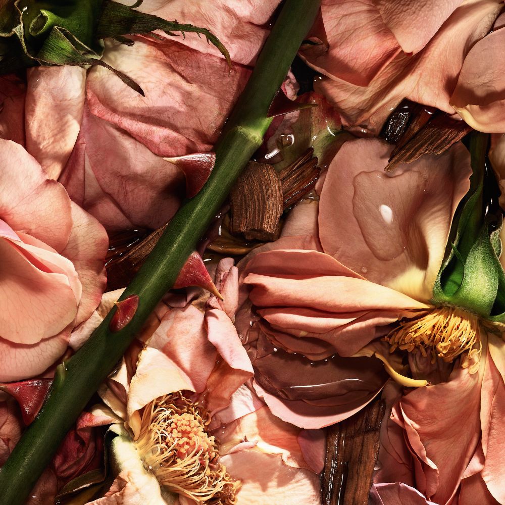 Macro shot of pink rose petals, wood chips, and a thorny rose stem.