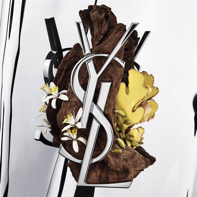 The YSL logo intertwined with dark wood, fresh ginger slices, green cardamom pods, and delicate white flowers, all set against a minimalist white and silver striped background.