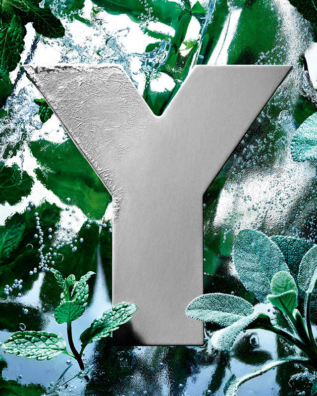 The YSL 'Y' logo, frosted with ice, surrounded by fresh mint and sage leaves.