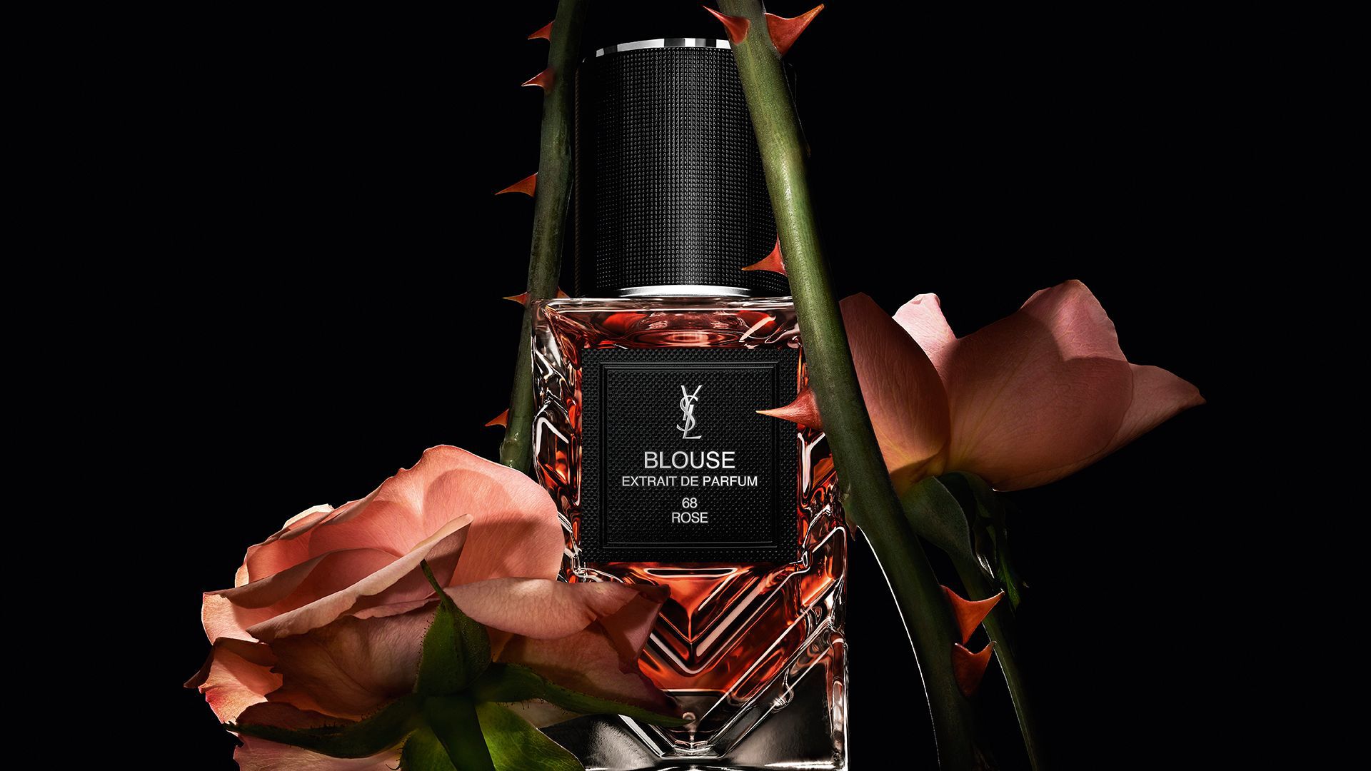 Yves Saint Laurent Blouse Rose perfume bottle framed by thorny rose stems and pink roses.