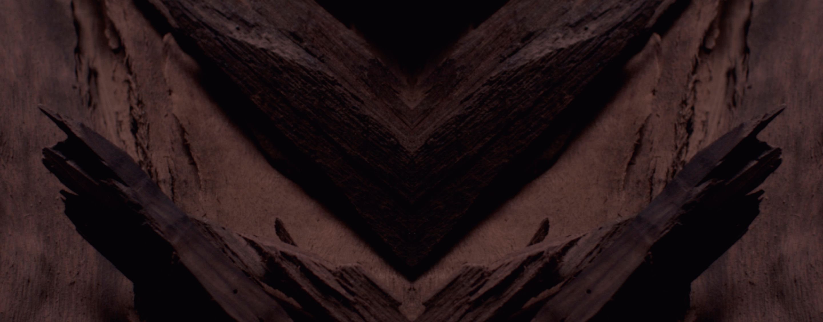 Macro shot of dark, symmetrical weathered wood texture forming a V-shape.